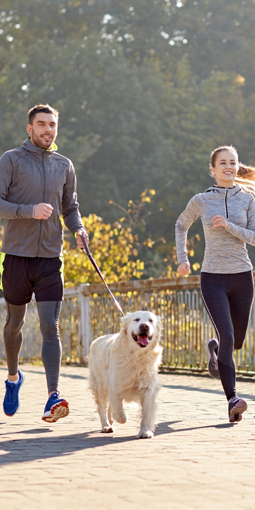 Pets Are Welcome At Pacific Inn Crescent City